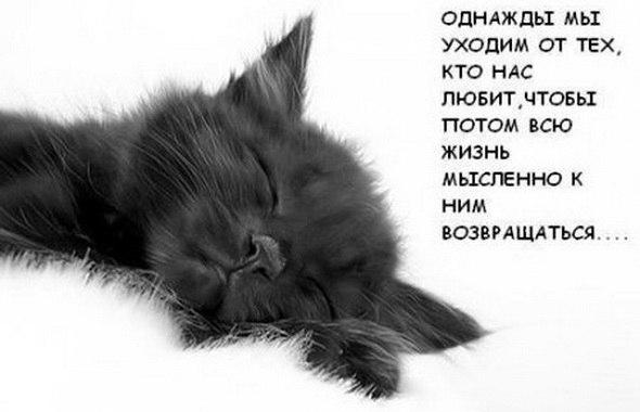 Фото Vredina :)) Фото Vredina :))