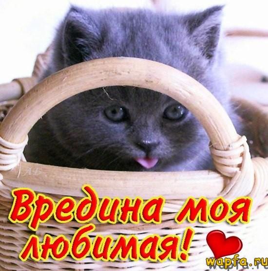 Фото Vredina :)) Фото Vredina :))