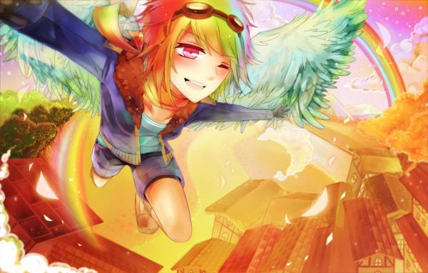 Фото Rainbow Dash DR Фото Rainbow Dash DR