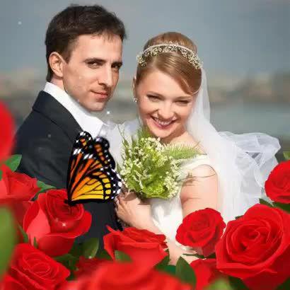 Фото Андрей Новоселов