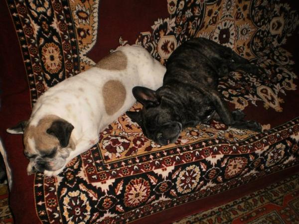 Фото NatalyYalta