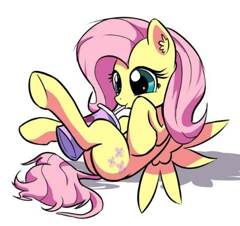 Фото Fluttershy Pegas