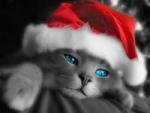 Фото Love♥Nicka♥Love Фото Love♥Nicka♥Love