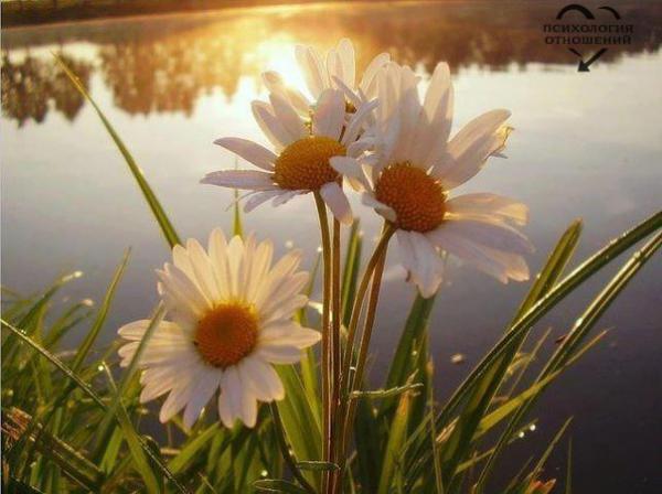 Фото Иринушк@ Фото Иринушк@