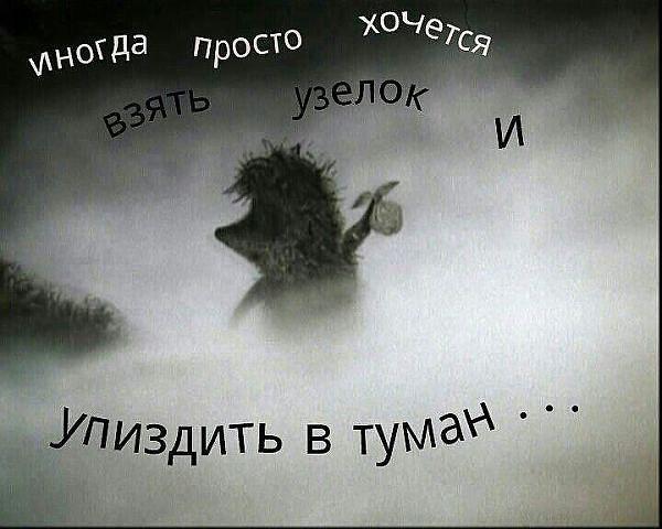 Фото ЕвдОкия Фото ЕвдОкия