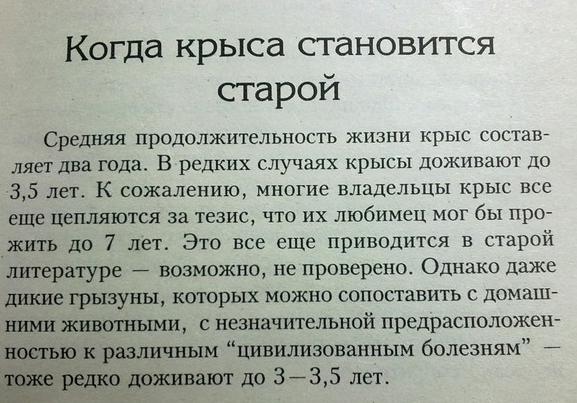 Фото Эдик Бокситогорский.