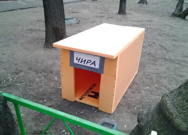Фото Мастер Безенчук Фото Мастер Безенчук