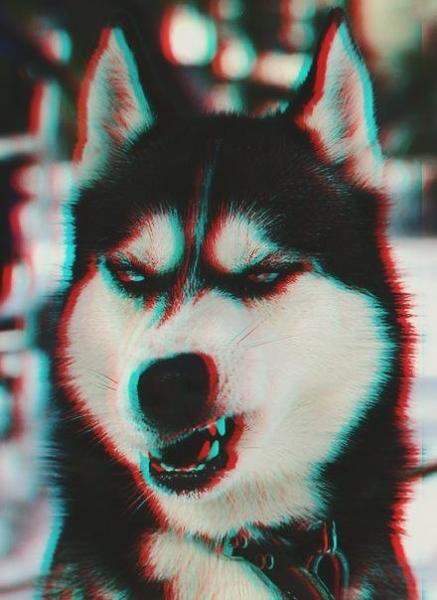 Фото женёк мачо Фото женёк мачо