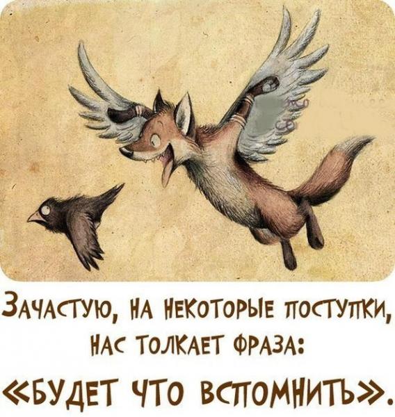 Фото Ластена Фото Ластена