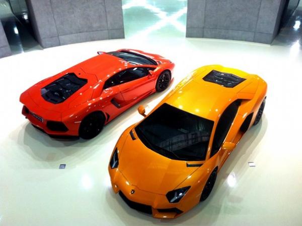 Фото Алексеева Ира