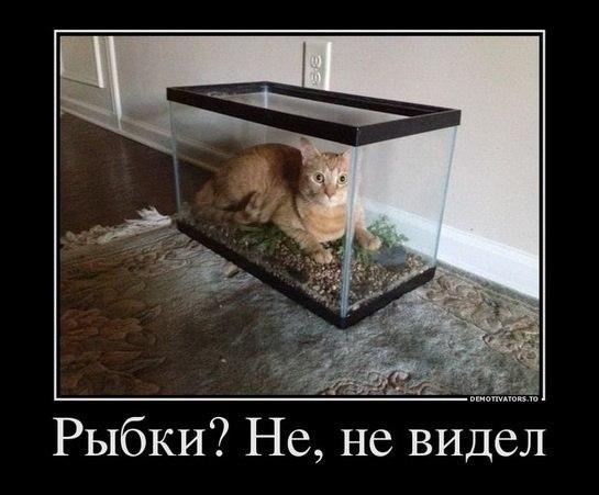 Фото Максим Котик Фото Максим Котик