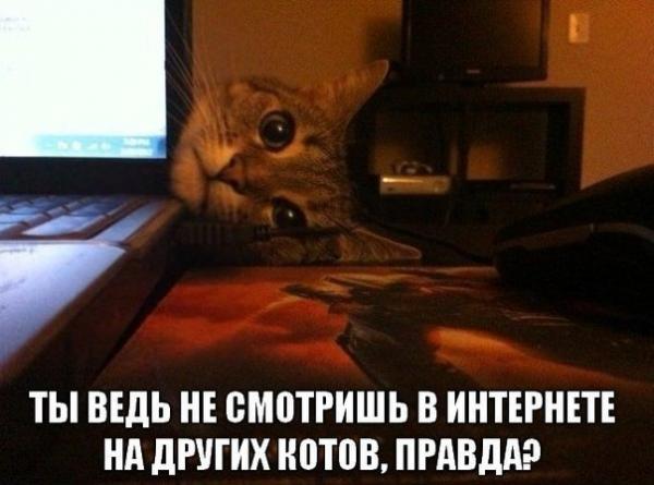 Фото Максим Котик Фото Максим Котик