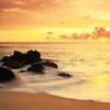 Фото theory871
