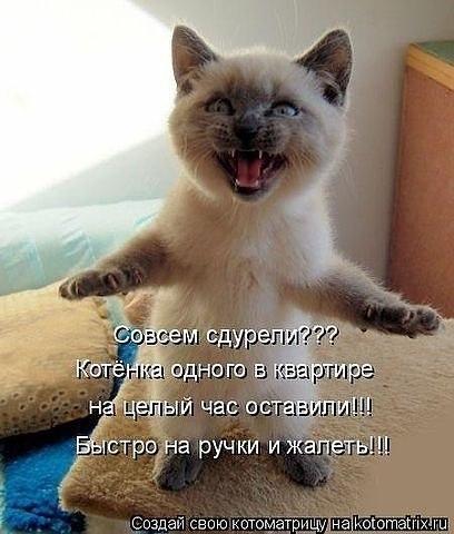 Фото Антилогика Фото Антилогика